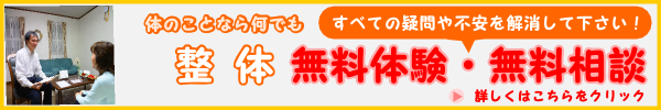 画像の説明